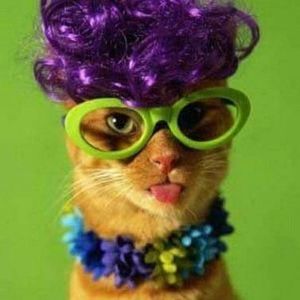 Meet your Posher, Yolanda